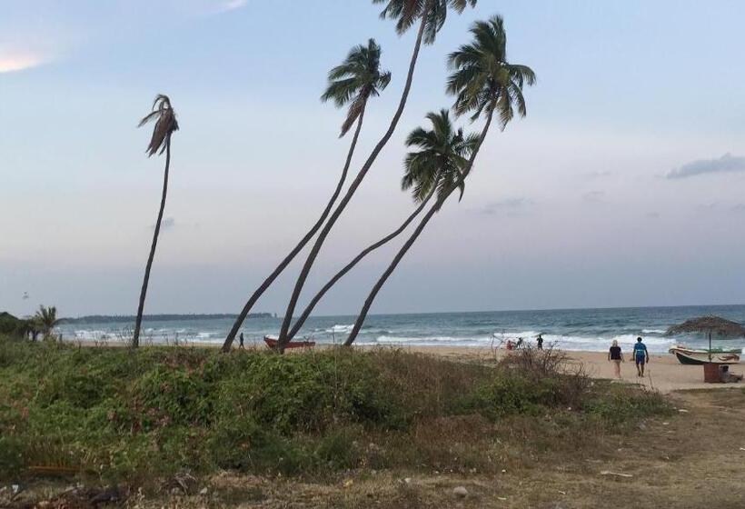 Hotel Amazon Beach Cabana