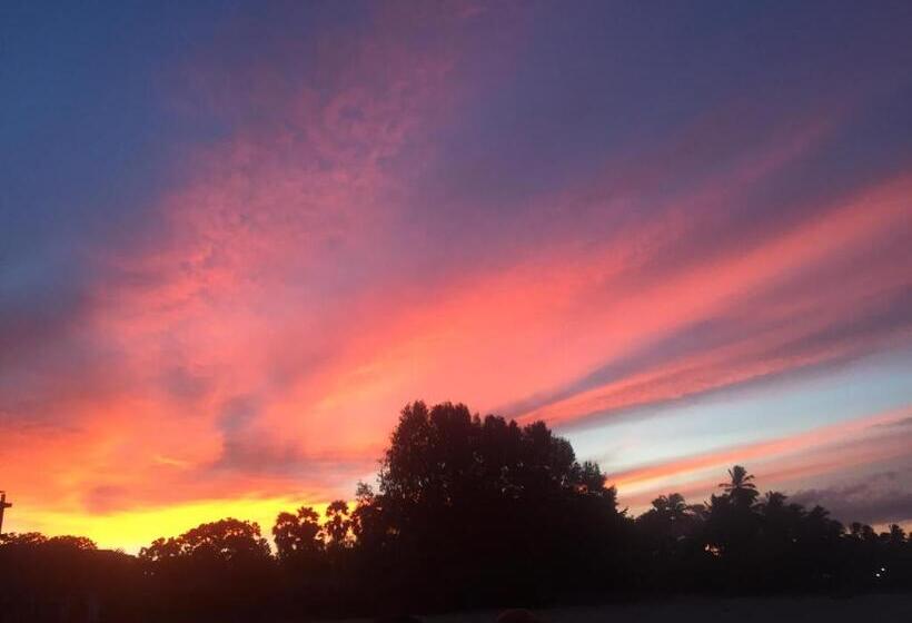 Hotel Amazon Beach Cabana