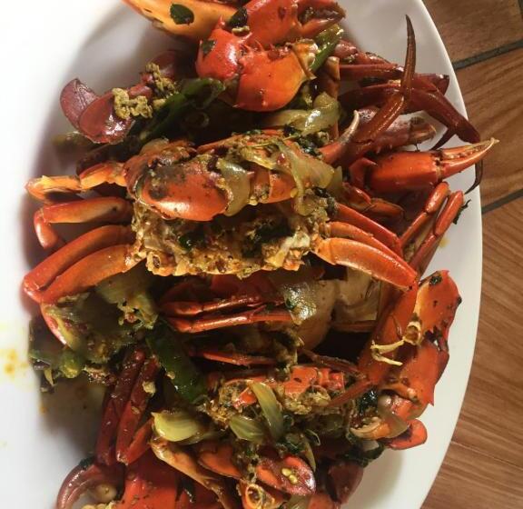 Hotel Amazon Beach Cabana