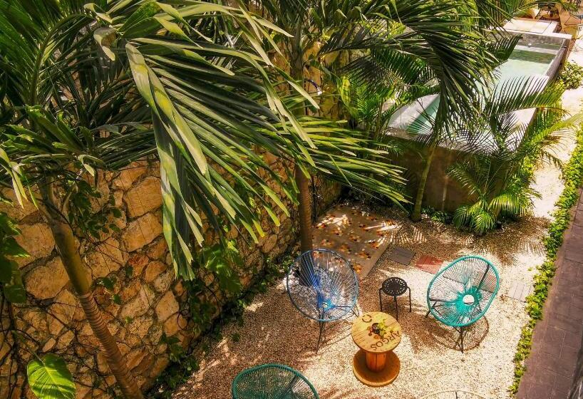 Les Suites Calle 2 By Galian