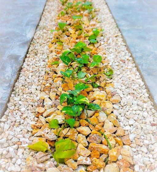 Les Suites Calle 2 By Galian