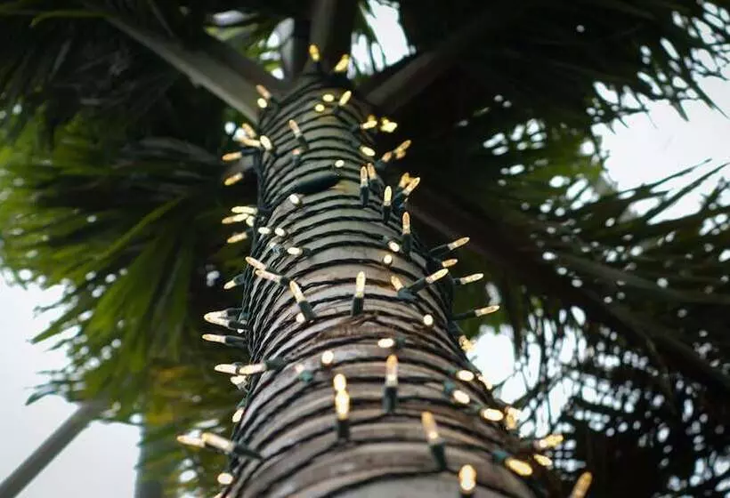 هتل Holiday Inn   Tampa North, An Ihg