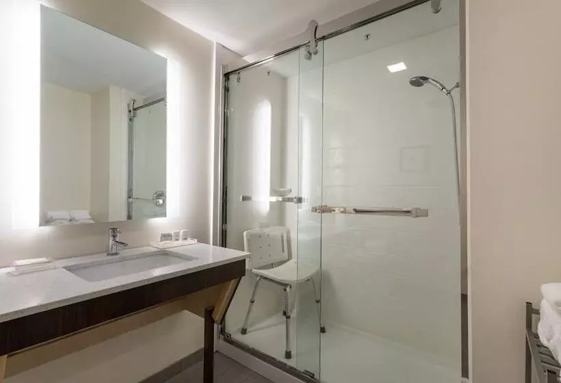 هتل Holiday Inn   Tampa North, An Ihg