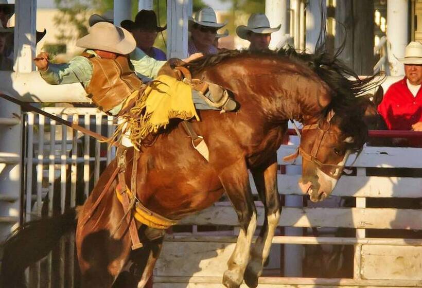 בית מלון כפרי Wrangler Inn