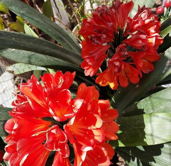 New Panorama Studios Electric Car φορτισησ στατιον