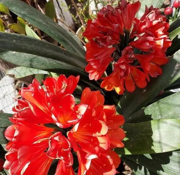 New Panorama Studios Electric Car φορτισησ στατιον