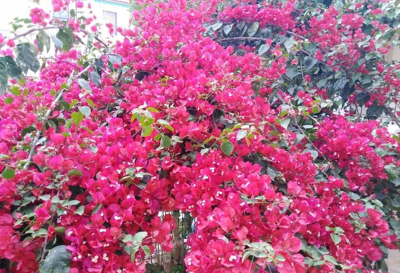 New Panorama Studios Electric Car φορτισησ στατιον