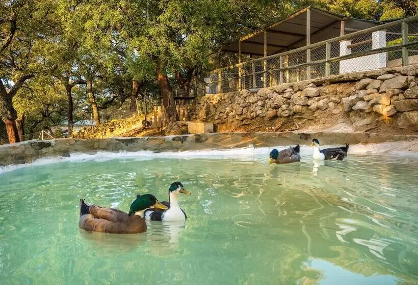 Отель Fuerte Grazalema