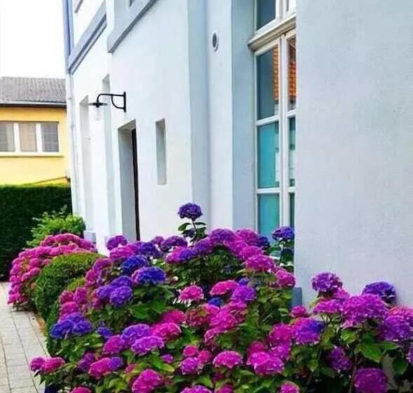 Отель Zweilinden Meckenheim Bonn