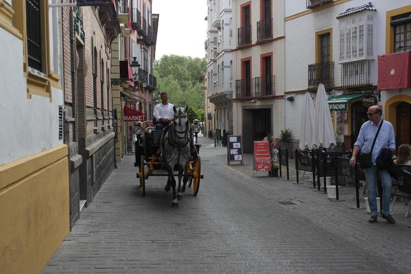 Sevilla Kitsch Hostel Art