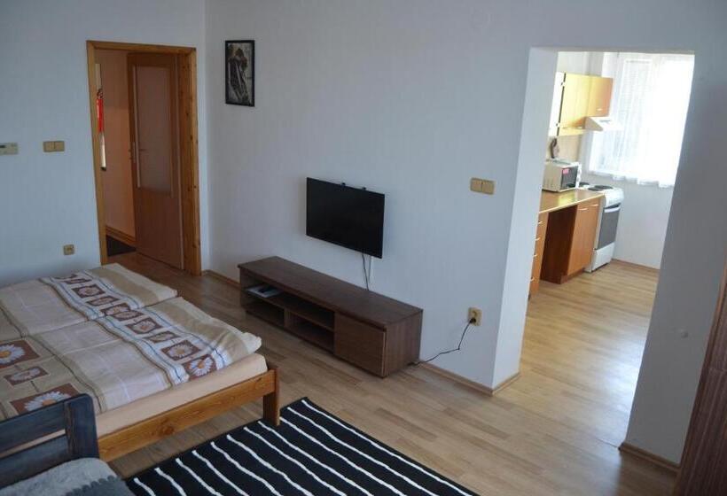 펜션 Ubytování Niagara