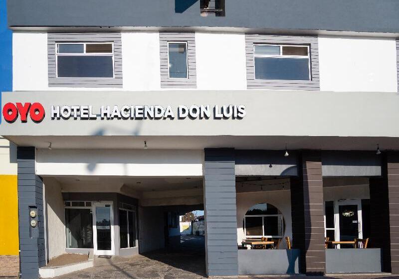 Отель Don Luis