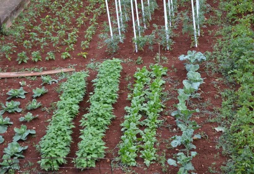 پانسیون Pansion Blažević