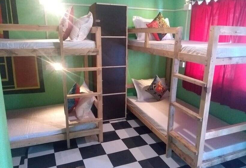 הוסטל El Profesor Mcleodganj