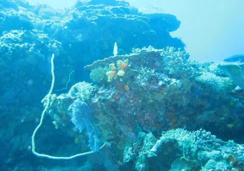 ホテル Kawans Inn Lembongan
