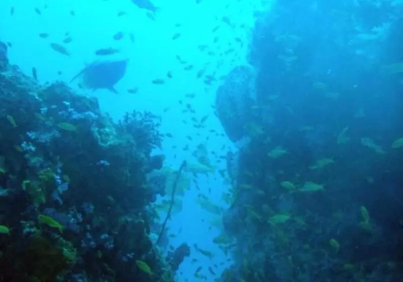 ホテル Kawans Inn Lembongan