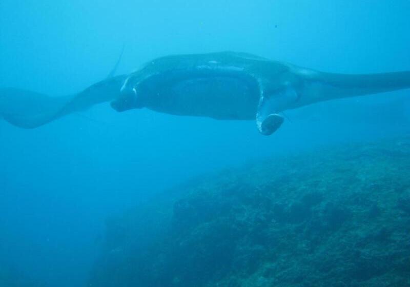 Otel Kawans Inn Lembongan