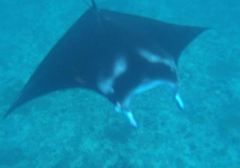 Otel Kawans Inn Lembongan