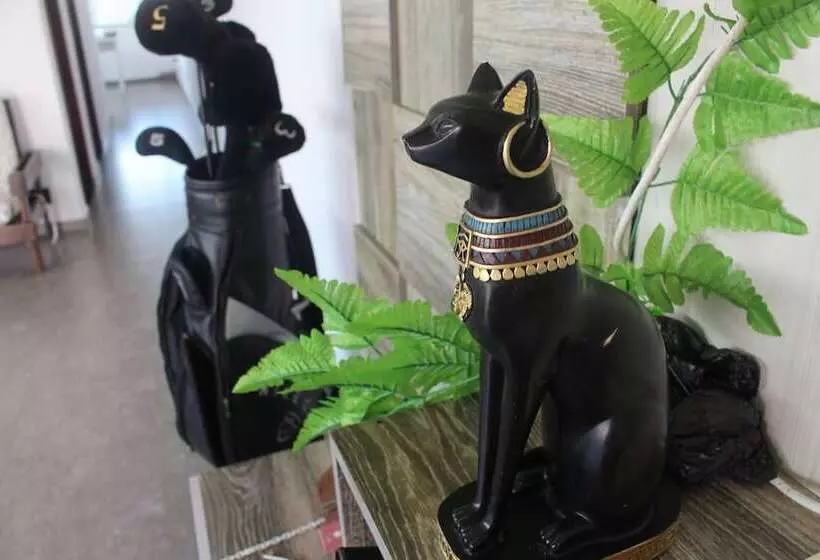 پانسیون Pousada E Hostel Praia Do Foguete