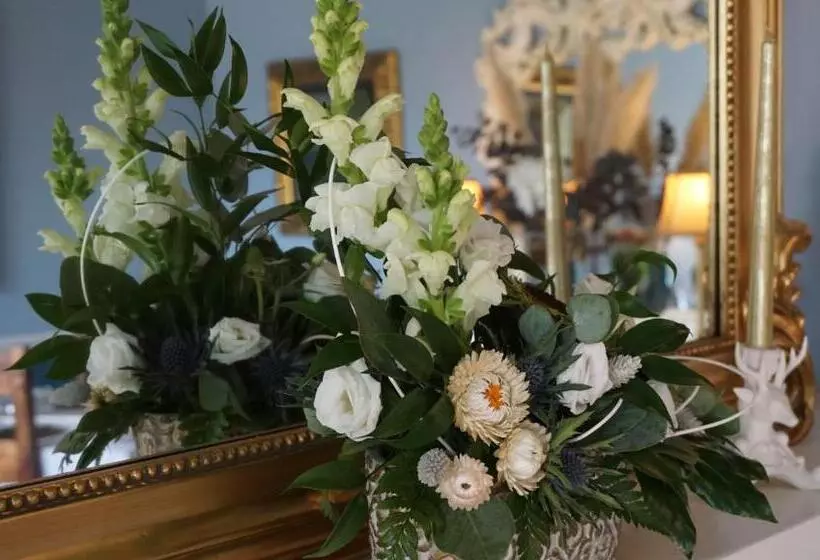 هتل Ivybank Lodge