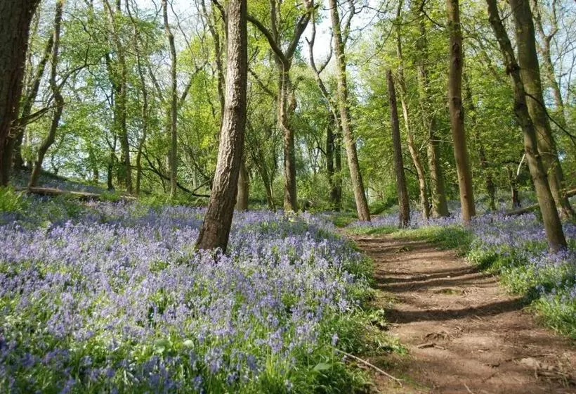 Отель The Malvern Hills