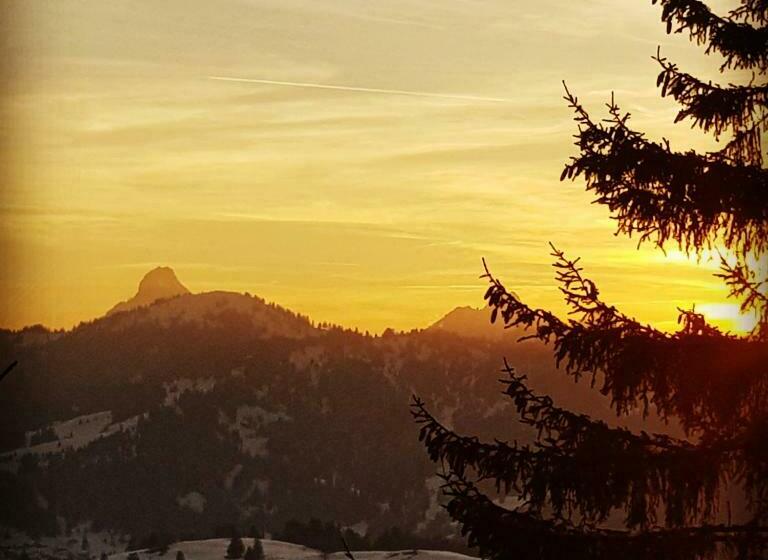 Bergchalet Ziithuesli