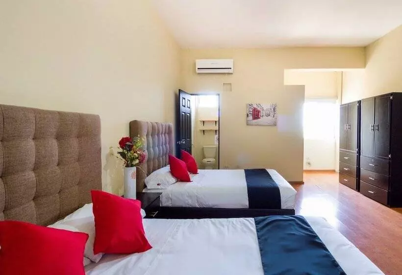 Hotelli Ecohabit Monterrey