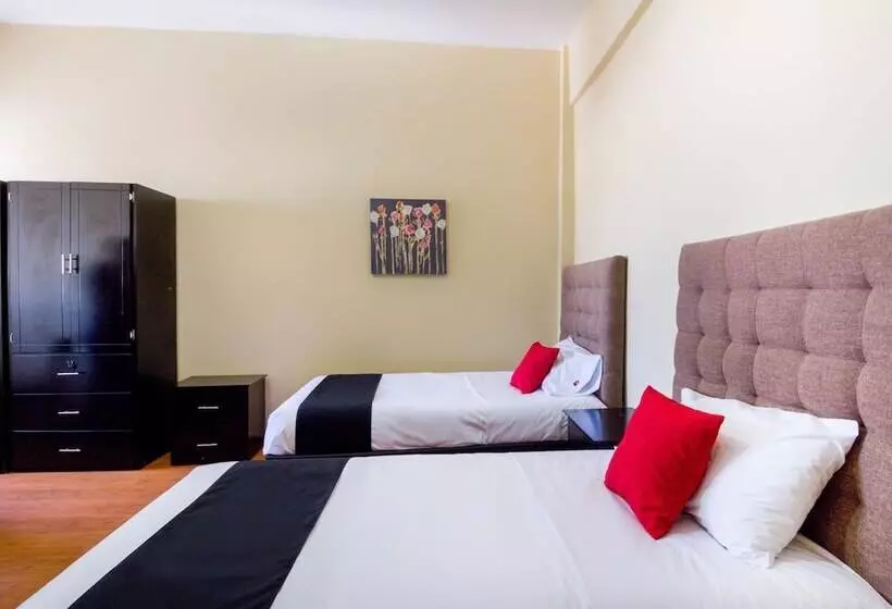 Hotelli Ecohabit Monterrey