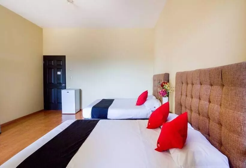 Hotelli Ecohabit Monterrey