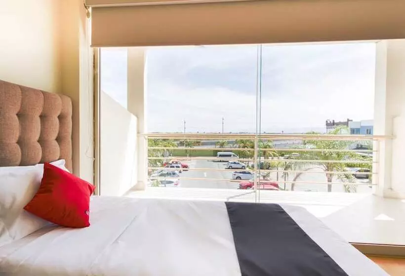 Hotelli Ecohabit Monterrey