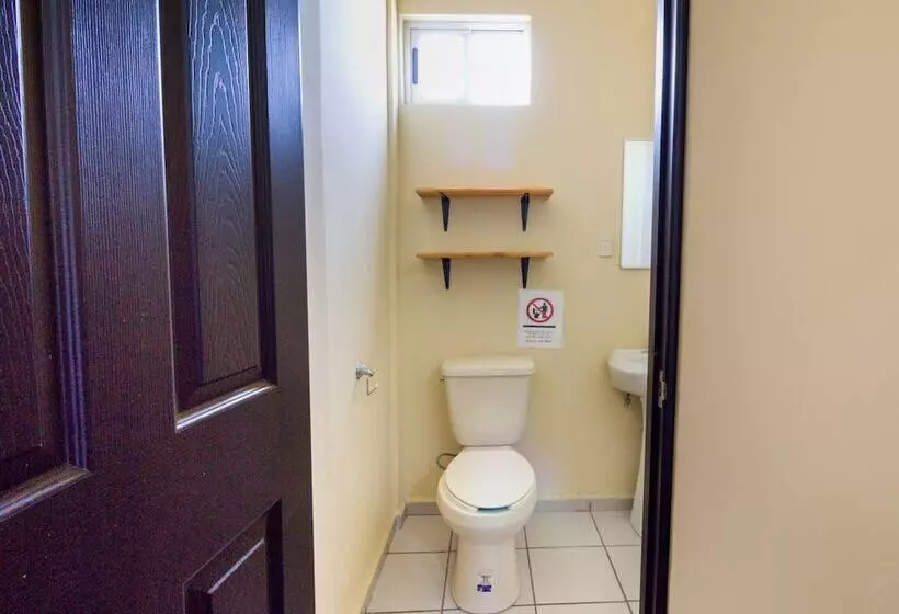 Hotelli Ecohabit Monterrey