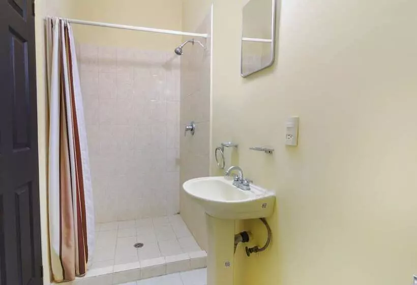 Hotelli Ecohabit Monterrey