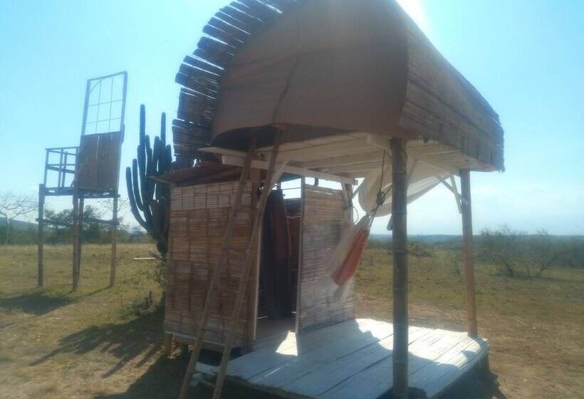 Qji Bio Hotel Glamping