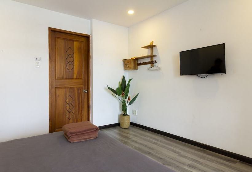 هاستل The Art  Summertime Homestay