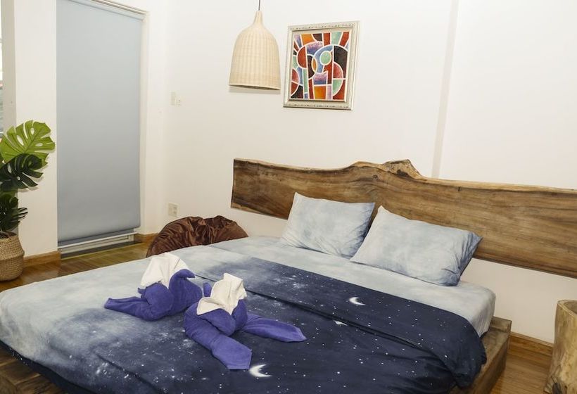 هاستل The Art  Summertime Homestay