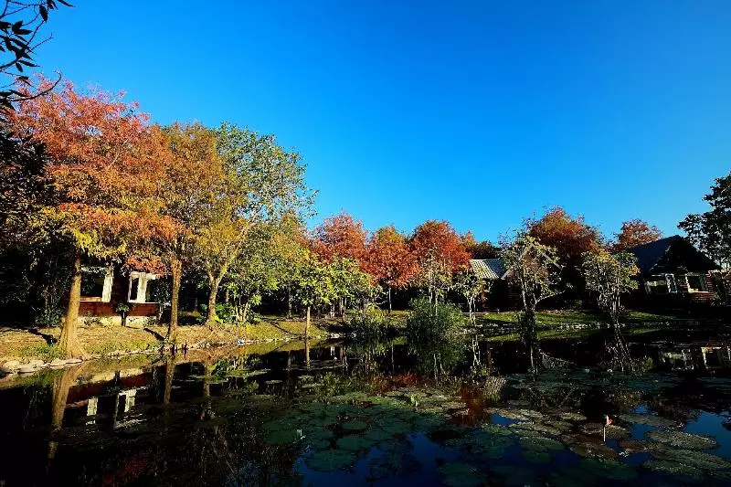 هتل He Fong Eco Farm