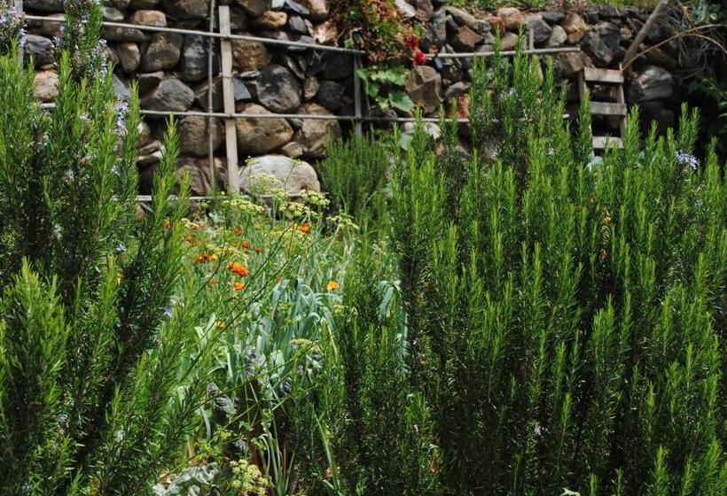 פנסיון Hostal Casa Amaya