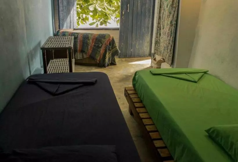 ユースホステル Hostal La Mariapolis