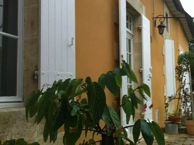 Aamiaismajoitus (B&B) Guest House Yuccas & Tilleuls