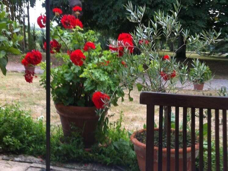 민박 Guest House Yuccas & Tilleuls