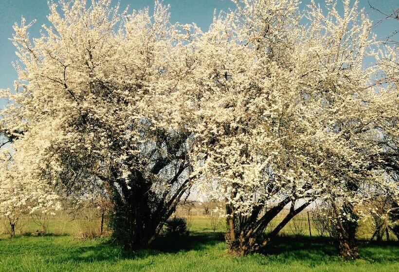 민박 Guest House Yuccas & Tilleuls