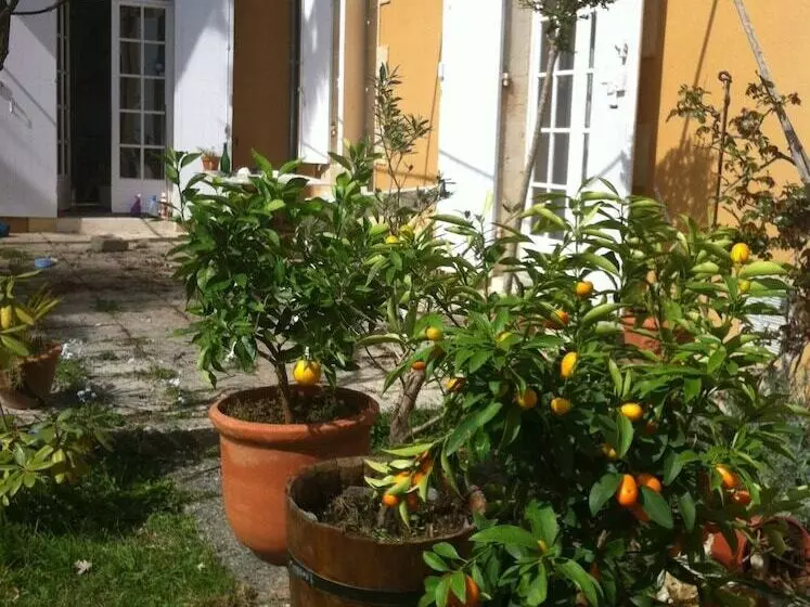 Aamiaismajoitus (B&B) Guest House Yuccas & Tilleuls