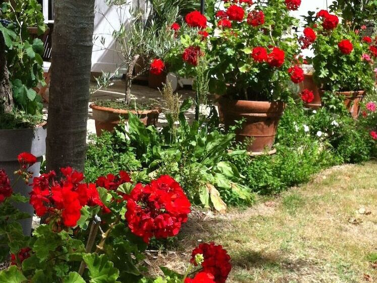 민박 Guest House Yuccas & Tilleuls