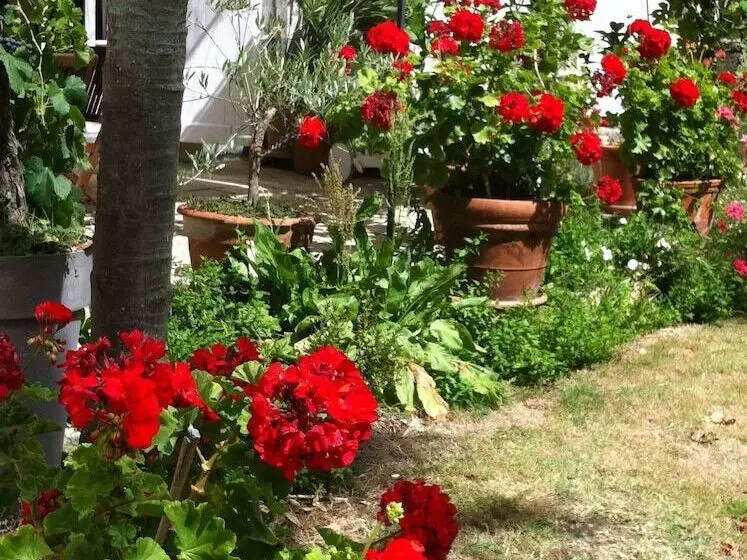 Aamiaismajoitus (B&B) Guest House Yuccas & Tilleuls