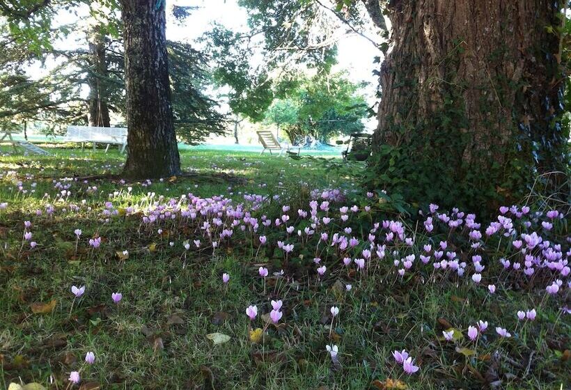 민박 Guest House Yuccas & Tilleuls