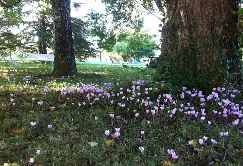 Aamiaismajoitus (B&B) Guest House Yuccas & Tilleuls