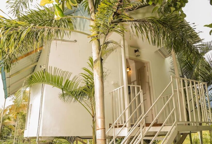 Cavern Resort Wayanad