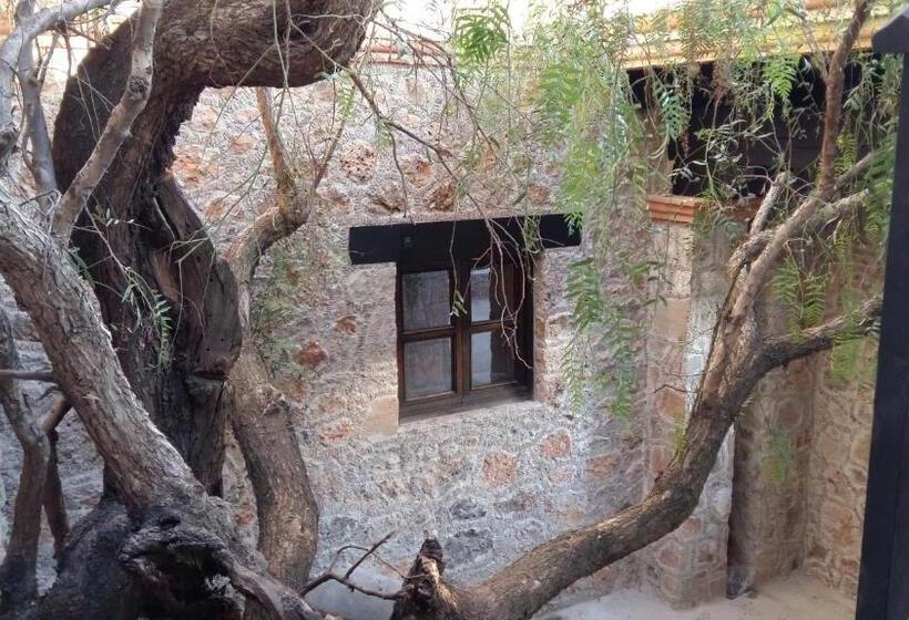 فندق Hacienda Tovares