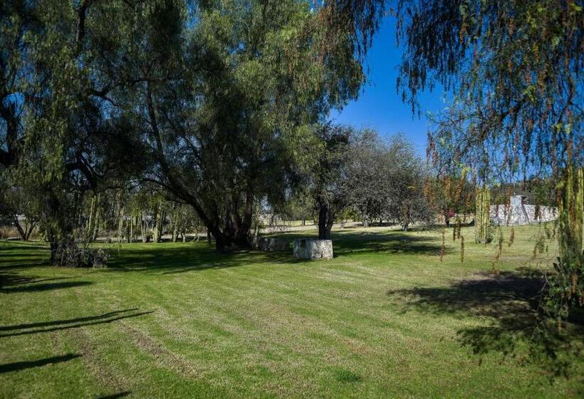 فندق Hacienda Tovares