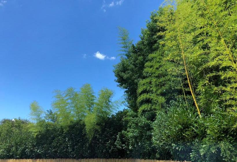 酒店 Hôtel Du Lac D Arjuzanx